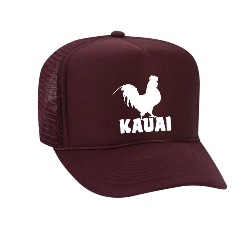Haibaba Kauai Wild Rooster Boys and Girls Black Baseball Caps Solid Hats 