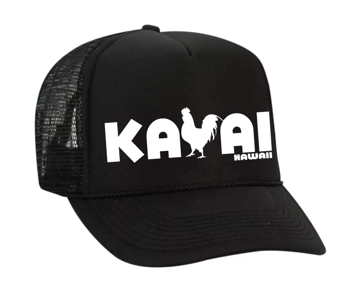 Haibaba Kauai Wild Rooster Boys and Girls Black Baseball Caps Solid Hats 